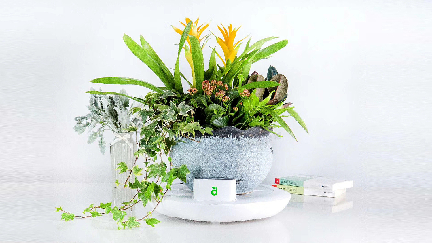 智能花盆实物图片 (6).jpg